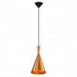 Подвесной светильник Spot Light Vicky 1108105