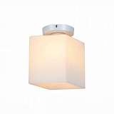 Настенно-потолочный светильник ST Luce Aspetto SL548.501.01