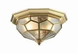 Потолочный светильник Odeon Light Clerk 2271/2C