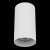 Потолочный светильник Lightstar Rullo 216486