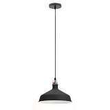 Подвесной светильник ЭРА Loft PL2 BK/RC