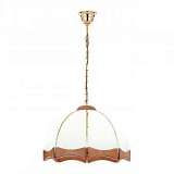 Подвесная люстра Alfa Czajka 772