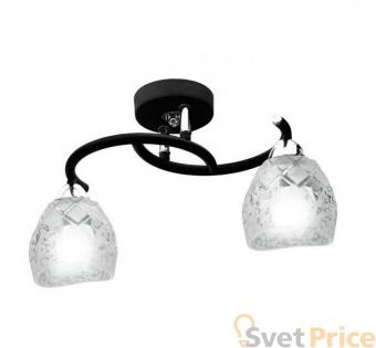 Потолочный светильник IDLamp Rosalba 381/2PF-Blackchrome