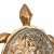 Настенный светодиодный светильник Favourite Turtle 2254-1W
