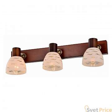 Спот Toplight Shayla TL3730Y-03BB