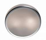 Настенный светильник Odeon Light Yun 2177/1C