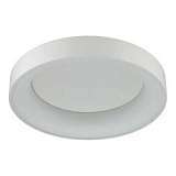 Потолочный светодиодный светильник Odeon Light Sole 4062/40CL