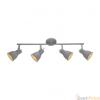 Спот Arte Lamp A1677PL-4GY