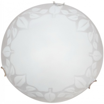 Настенный светильник Arte Lamp Leaves A4020PL-1CC