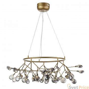 Подвесная люстра ST Luce Riccardo SL411.243.45