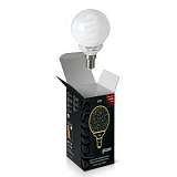 Лампа энергосберегающая E14 13W 2700K шар матовый 231113