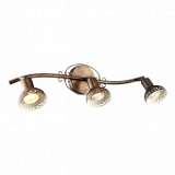 Спот Arte Lamp Focus A5219PL-3BR