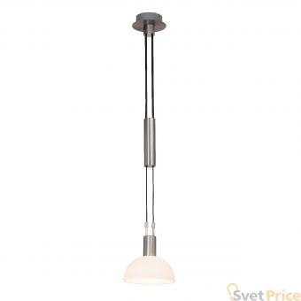 Подвесной светильник Brilliant Robinia G74479/77