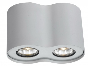 Потолочный светильник Arte Lamp Falcon A5633PL-2WH