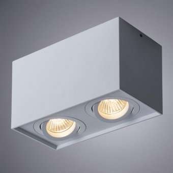 Потолочный светильник Arte Lamp Factor A5544PL-2WH