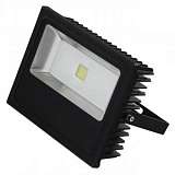 Прожектор светодиодный Horoz Leon 70W 6500K 068-001-0070 (HL166L)