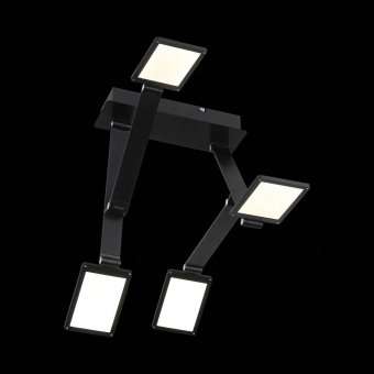 Потолочная светодиодная люстра ST Luce Teocoli SL841.402.04