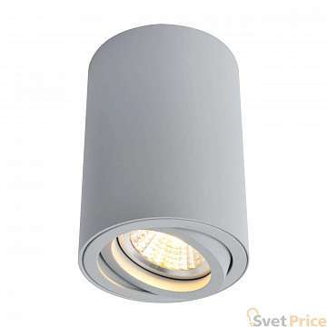 Потолочный светильник Arte Lamp A1560PL-1GY