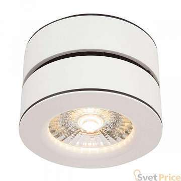 Спот Maytoni Treviso C023CL-L20W