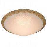 Потолочный светодиодный светильник Lucide Rune 79178/08/72