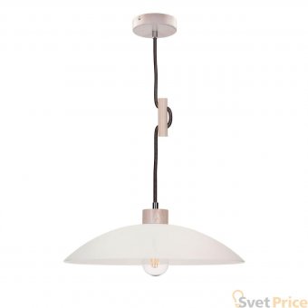 Подвесной светильник Spot Light Jona 1408132