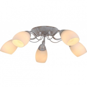 Потолочная люстра Arte Lamp Carlo A8105PL-5WG