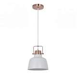 Подвесной светильник Odeon Light Sert 3324/1