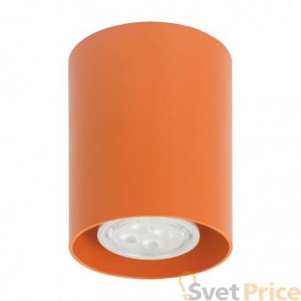 Потолочный светильник АртПром Tubo8 P1 17