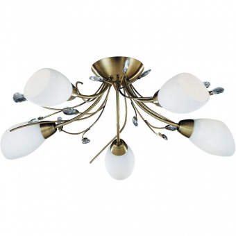 Потолочная люстра Arte Lamp Gardenia A2766PL-5AB