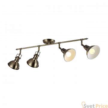 Спот Arte Lamp A1102PL-4AB