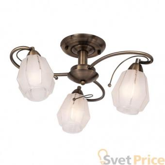 Потолочная люстра Silver Light Brazil 506.53.3