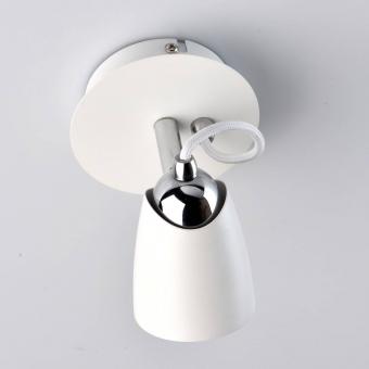 Спот MW-Light Астор 5 545021301