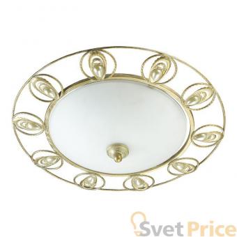 Потолочный светильник Odeon Light Kanti 3483/2С