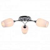 Потолочная люстра Lussole Lgo LSP-8074