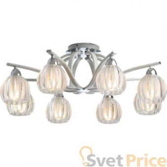 Люстра N-Light 409-08-73CWC