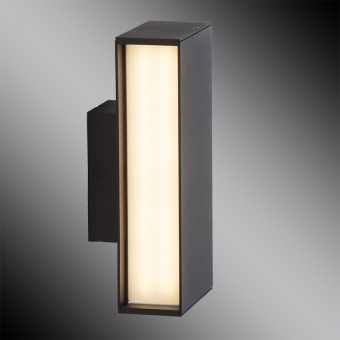 Уличный настенный светильник Brilliant Hollow G43180/06