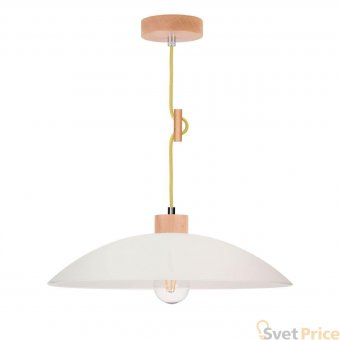 Подвесной светильник Spot Light Jona 1408231