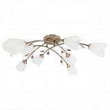 Потолочная люстра Spot Light Stilo 5083811