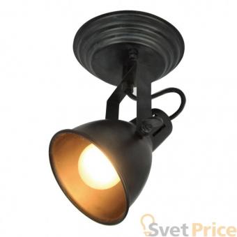 Спот Silver Light Bastille 310.42.1