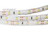 Лента RTW 2-5000SE 12V Day White (3528.300LED.LUX)