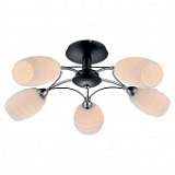 Потолочная люстра Lussole Lgo LSP-0153