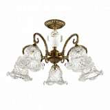 Потолочная люстра Odeon Light Victori 2884/5C