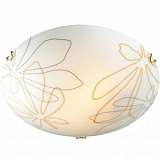 Потолочный светильник Sonex Mortia 242