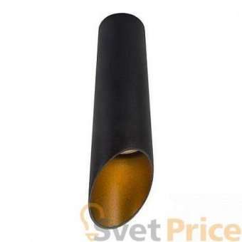 Потолочный светильник Arte Lamp Pilon-Gold A1535PL-1BK