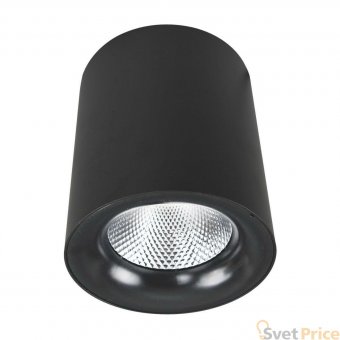 Потолочный светодиодный светильник Arte Lamp Facile A5112PL-1BK