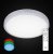 Потолочный светодиодный светильник Citilux Альпина CL71840RGB страна Дания Потолочный светодиодный светильник Citilux Альпина CL71840RGB