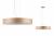 Подвесной светильник Paulmann Alva 79649