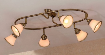 Спот Citilux Прованс CL511163