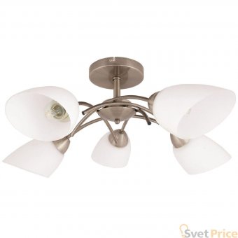 Потолочная люстра Spot Light Viletta 8141511