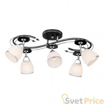 Спот Silver Light Austerity 245.59.5
